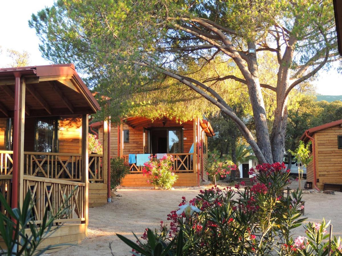 Feriendorf La Mora Calvi  Exterior photo
